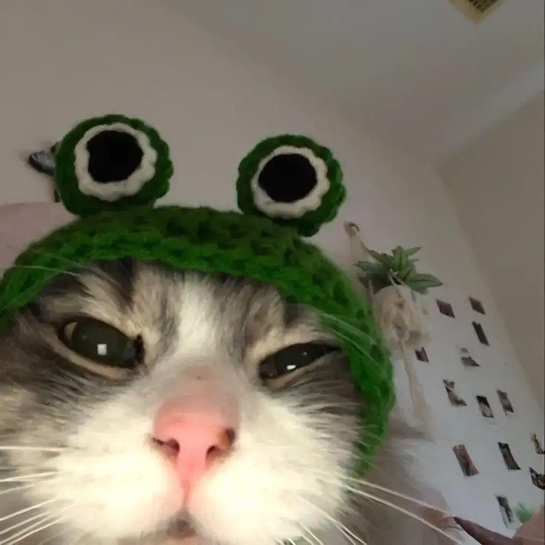 PelmenisPK