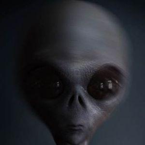 ALIENnn_ avatar