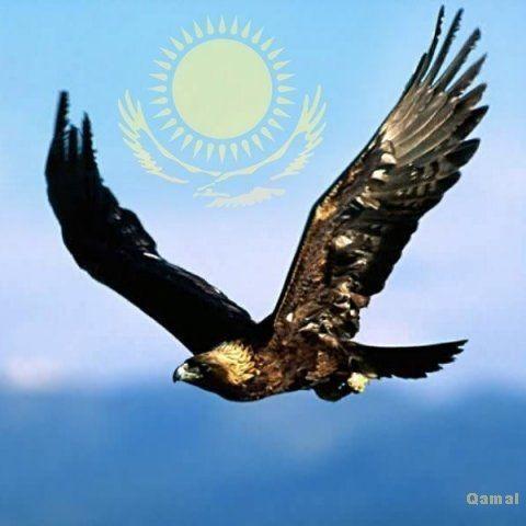 kemelbayev95 avatar