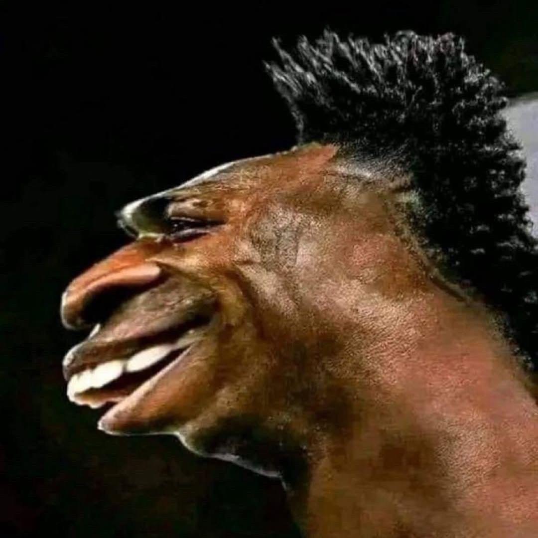 DoldDust
