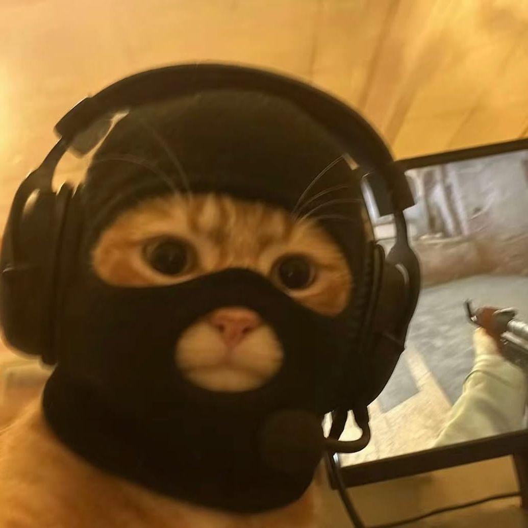 JAZZ-IS-BACK avatar