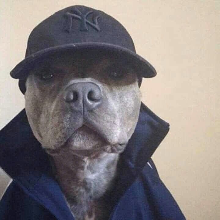 Dev0nt
