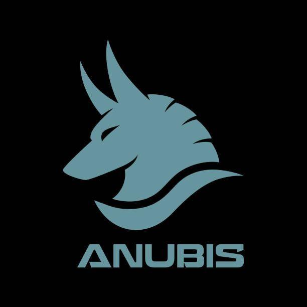 Player -4NUBIS- avatar
