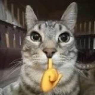 milk0_o avatar