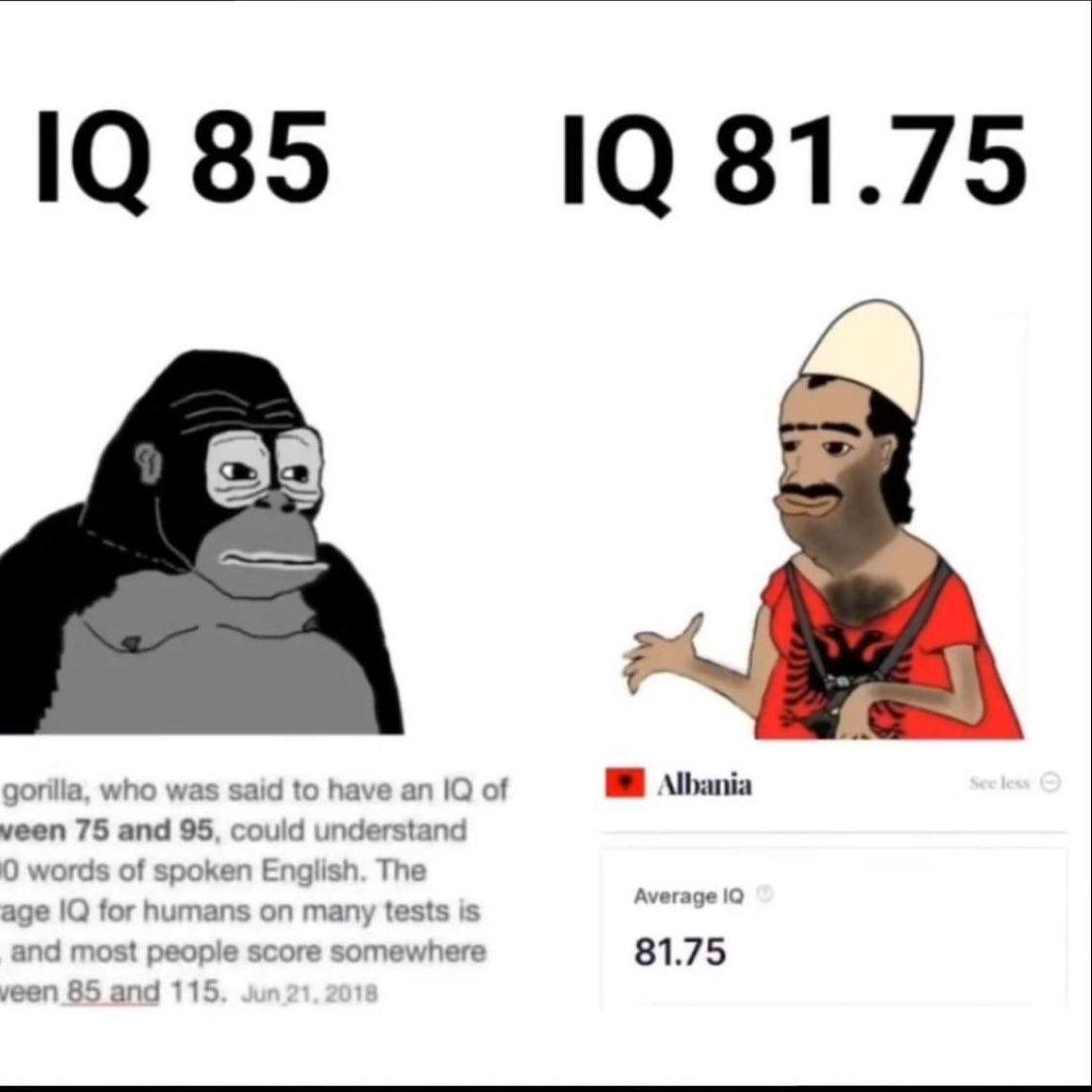 dolboeb666