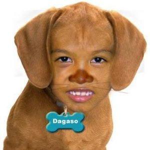 jandel8d avatar