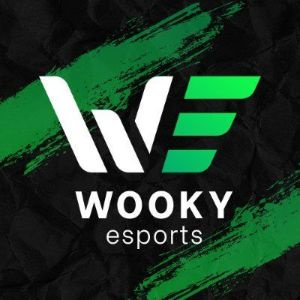 Wooky eSports