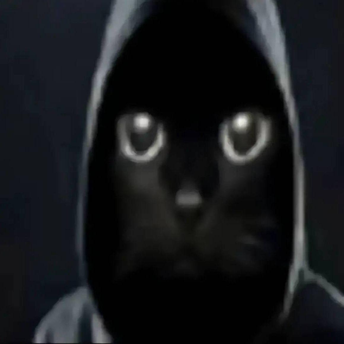 kunyakin avatar