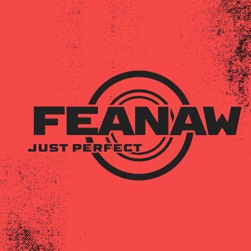 feanaw1 avatar