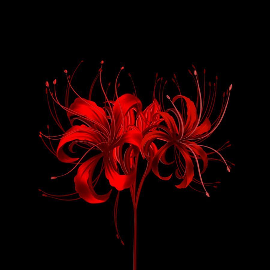 team_FallenLily