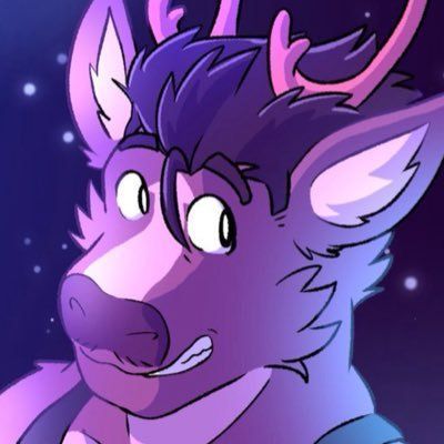 botbeky FACEIT avatar
