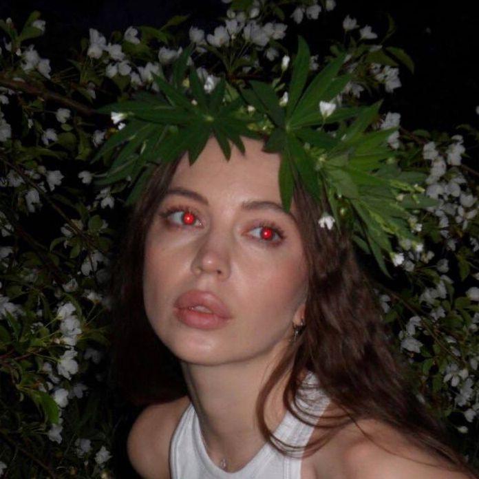 dVOewnik avatar
