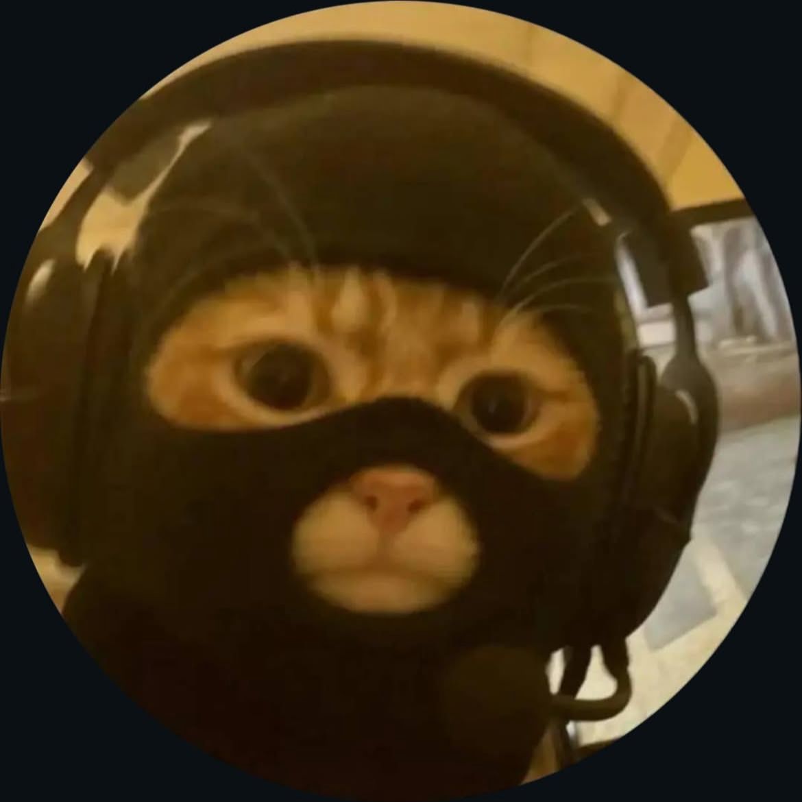 jubyPTK