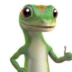 lizardwizz avatar