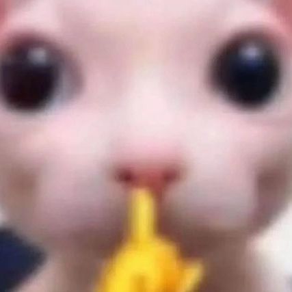 LUISEXO69