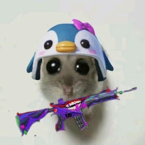 dubopow3r avatar