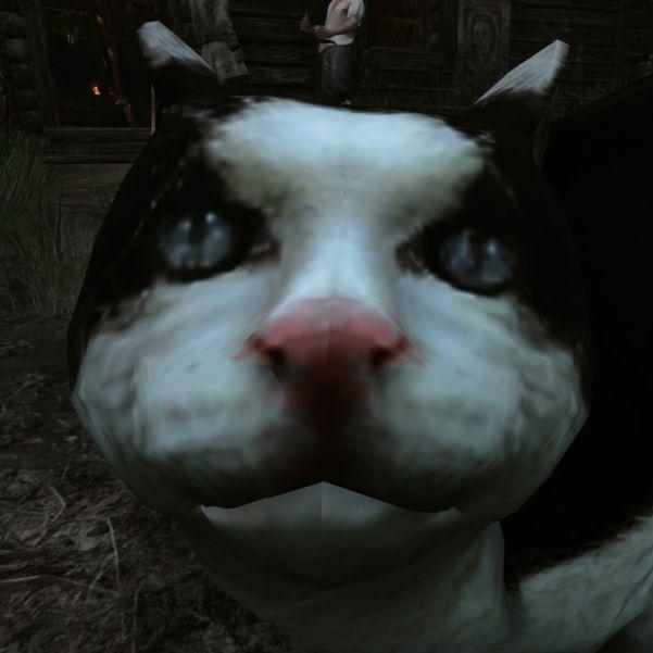 vootrox avatar