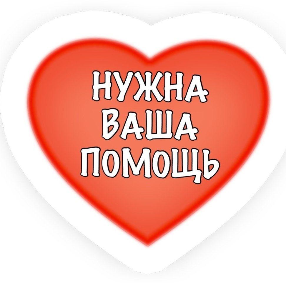 blyadun5 avatar
