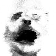 eovv avatar