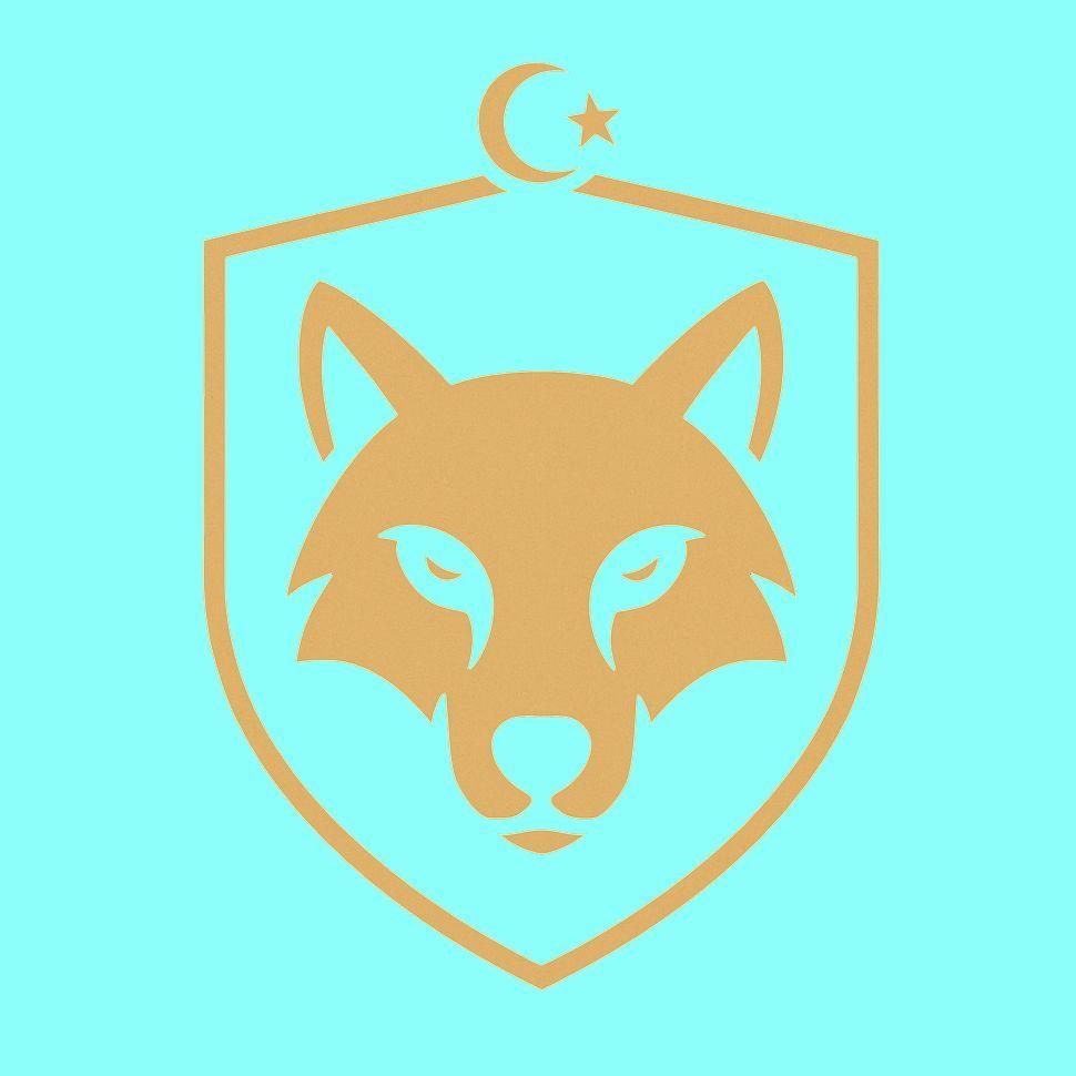 W0H-haktank avatar
