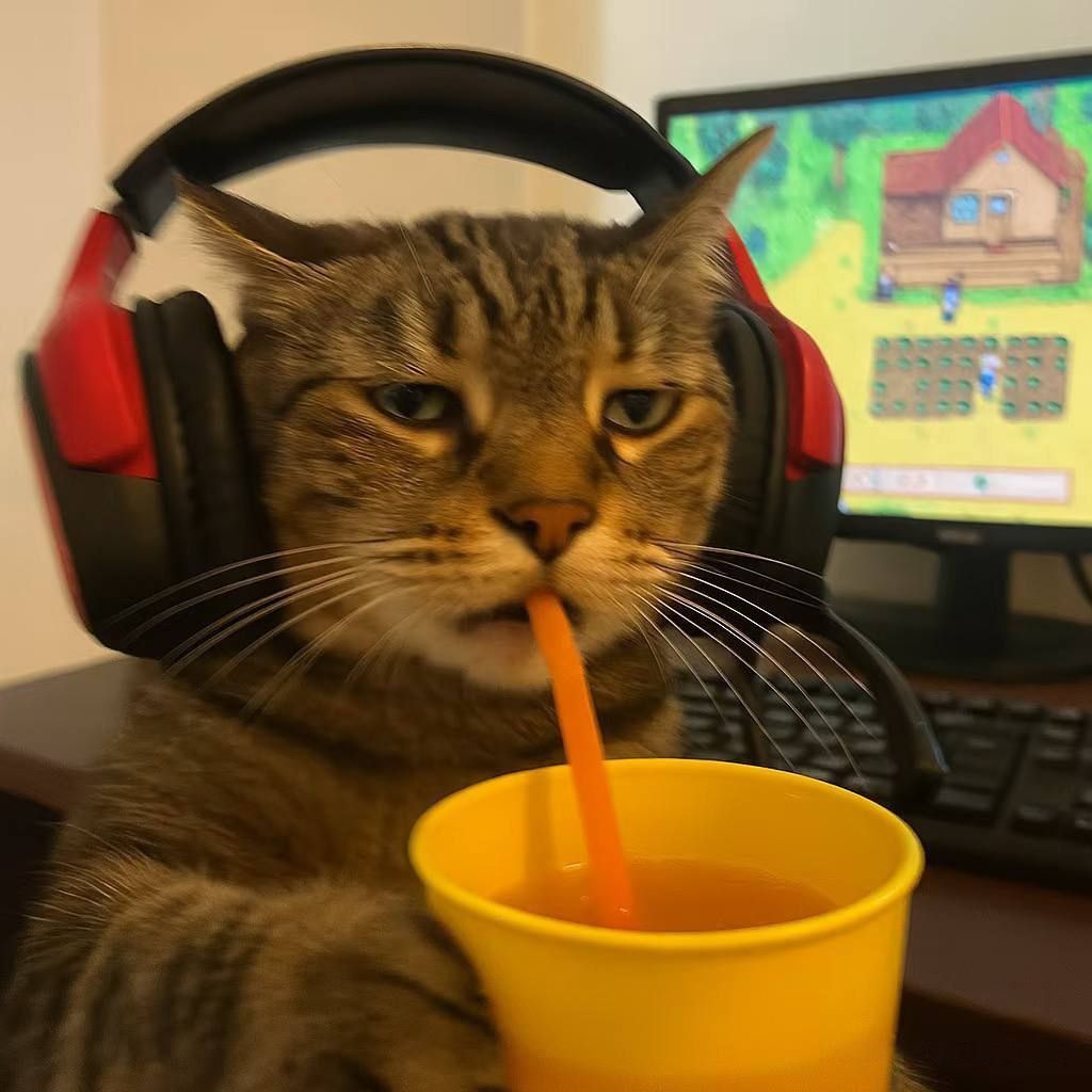chimchushka