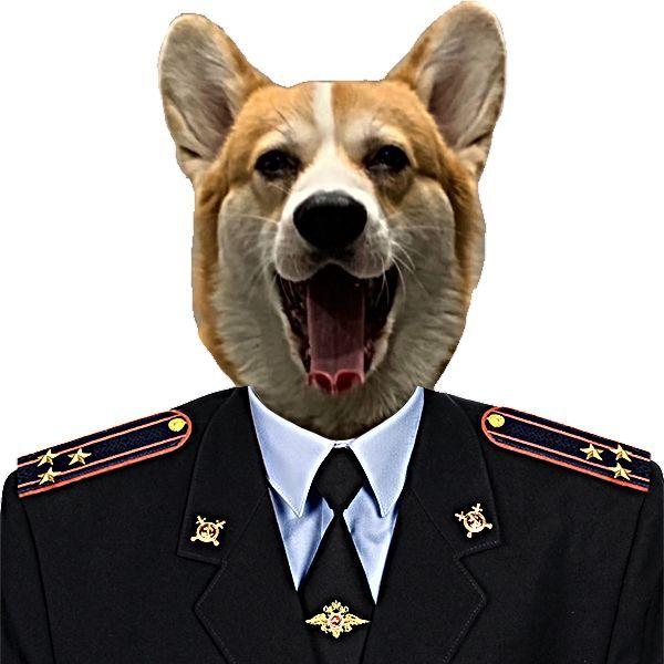 TOPMO3_1337 avatar