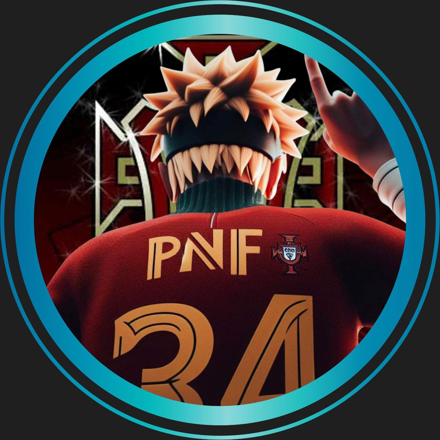 pnfofficial avatar