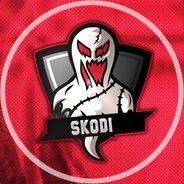 Skodi_pro avatar