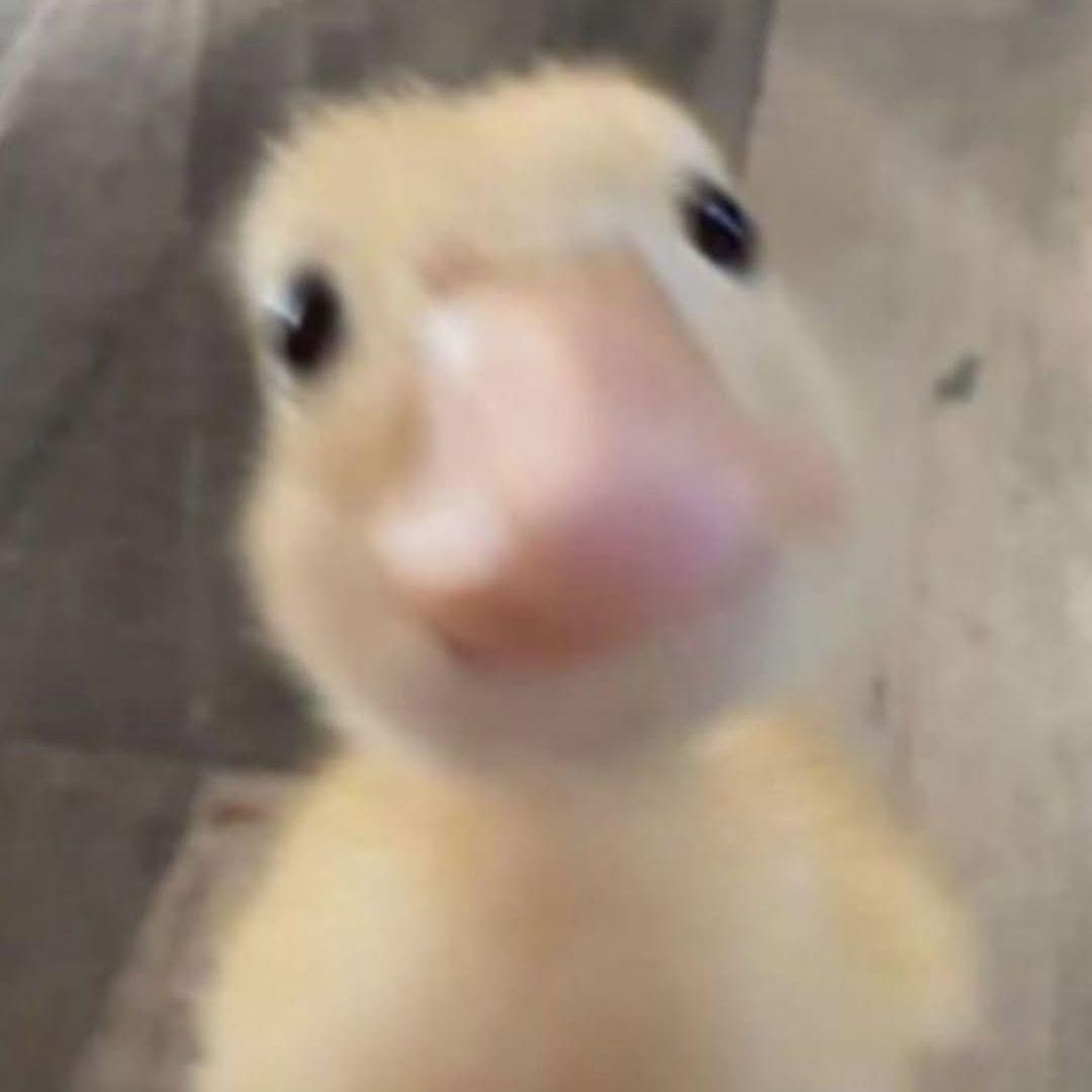 Maksprotanki avatar