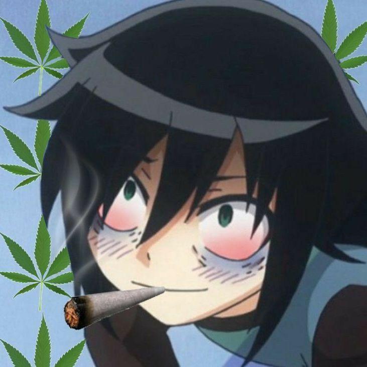 showhytell avatar