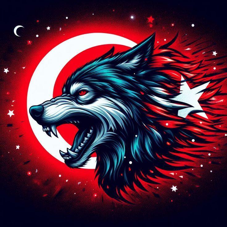 IMBDI avatar