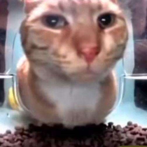 unvzzt