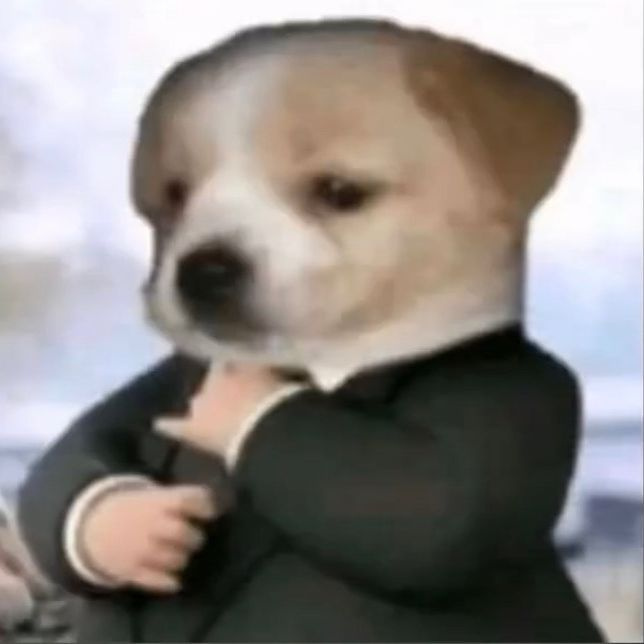 Paw-fessionals