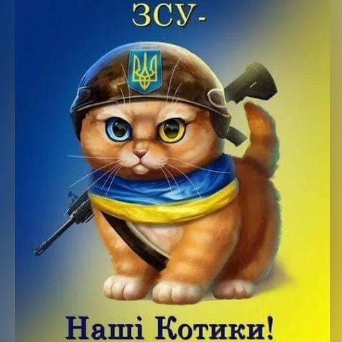 team_Navi