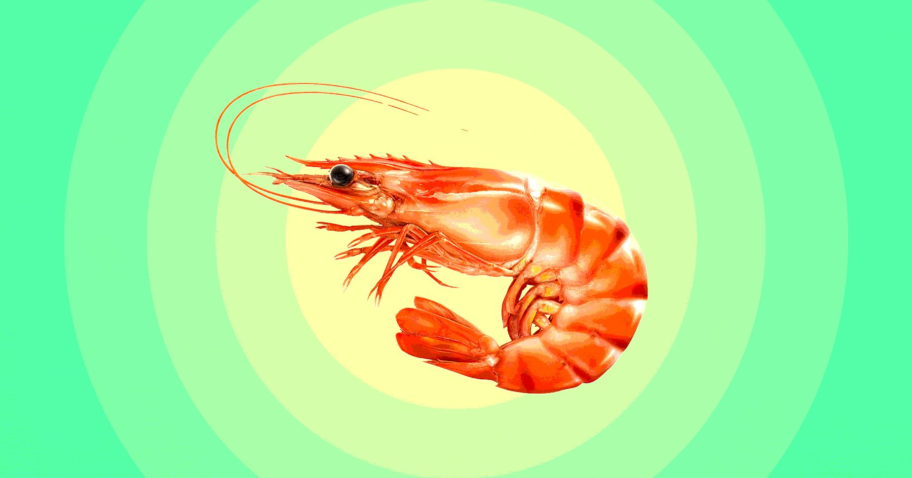 Spunki