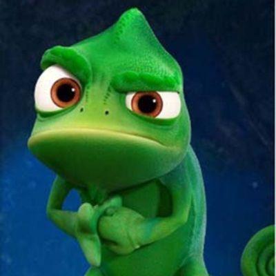 PLE4 avatar