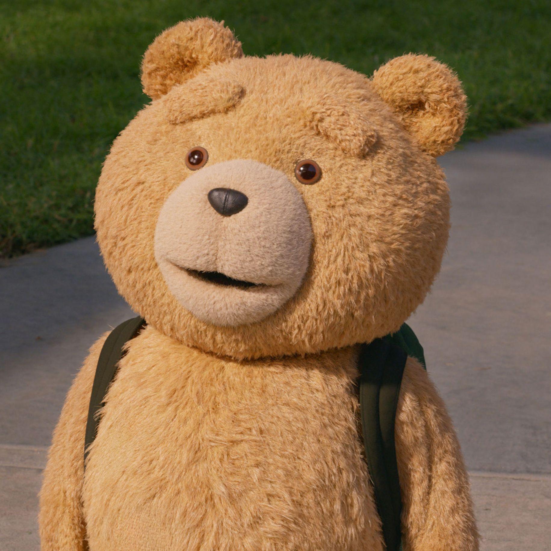 Teddy_TED avatar