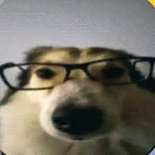 _Squeezee3_