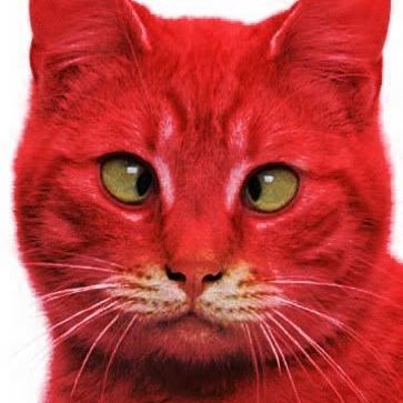 RedCat2