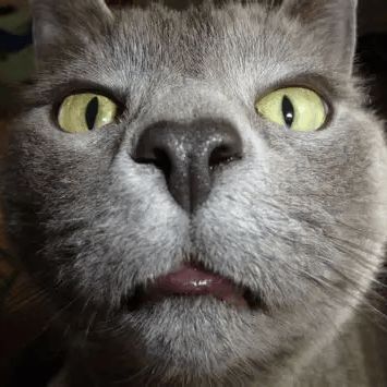 -Greediness