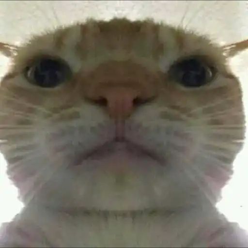 NHAOO