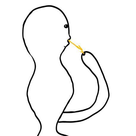 FragIT avatar