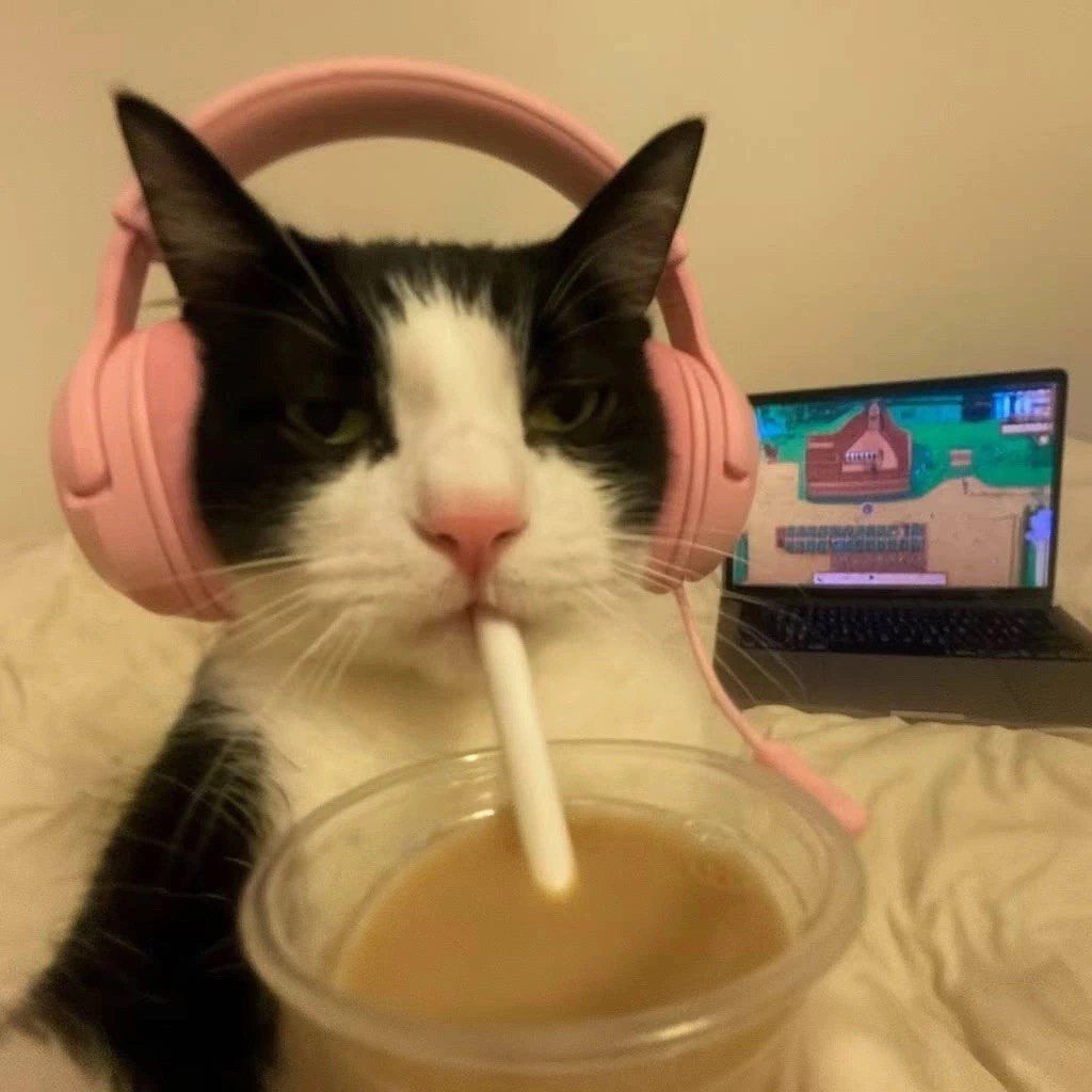 J4sm1n_