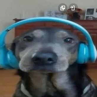 Mr_Abrikosik