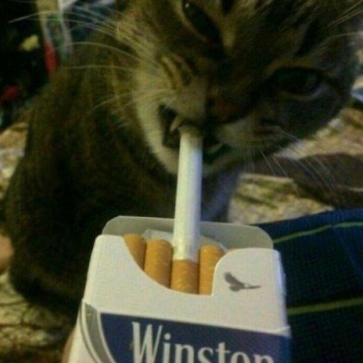 420 avatar