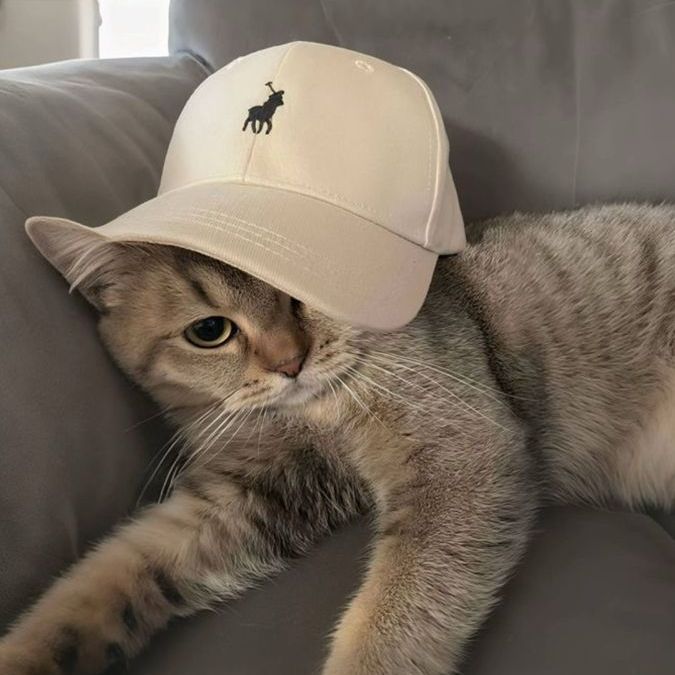 NikoLV