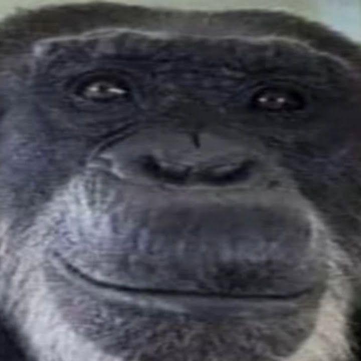 klyzed avatar