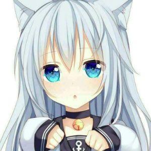 K1borgXII avatar