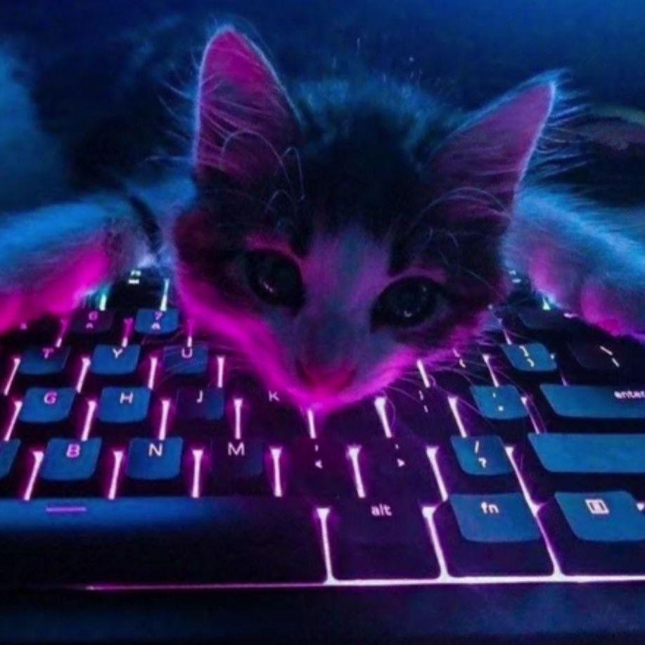 Ehelka avatar