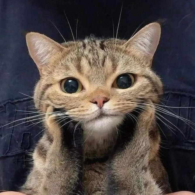 sedatiwe